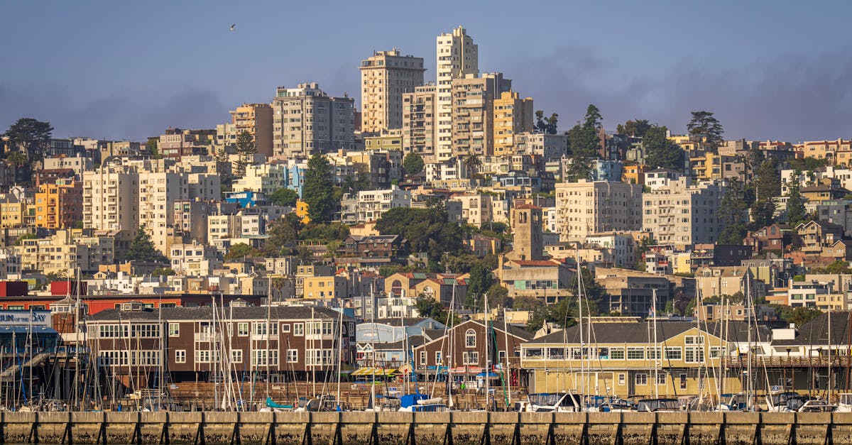 découvrez pacifica, votre destination pour une aventure inoubliable au cœur de la nature. explorez des paysages à couper le souffle, profitez d'activités en plein air et vivez des moments mémorables avec des amis et votre famille.