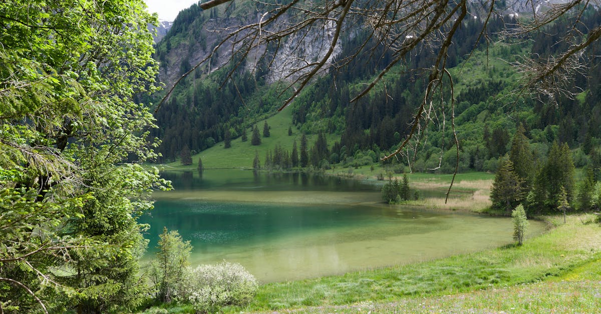 découvrez le concept d'harmonie, une quête d'équilibre et de paix intérieure, où les éléments de la vie s'unissent pour créer un bien-être durable. explorez comment cultiver l'harmonie dans vos relations, votre environnement et votre esprit.