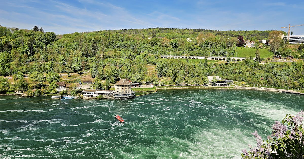 découvrez swiss life, un leader en assurance et prévoyance en suisse, offrant des solutions sur mesure pour protéger votre avenir et garantir votre sécurité financière. explorez une gamme de produits adaptés à vos besoins pour vivre sereinement.